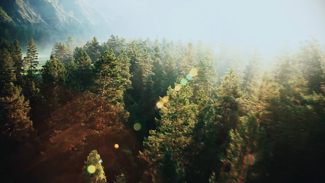 1615880110539051.jpg Y1.jpg